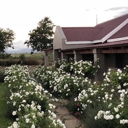 Mountain View Country Guest House Cradock Exterior photo