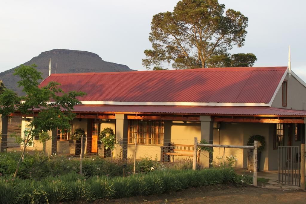 Mountain View Country Guest House Cradock Exterior photo