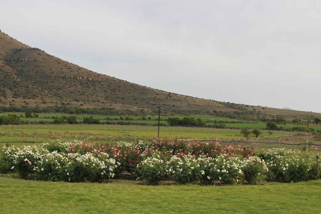 Mountain View Country Guest House Cradock Exterior photo