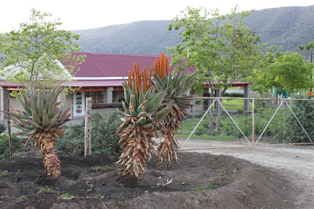 Mountain View Country Guest House Cradock Exterior photo