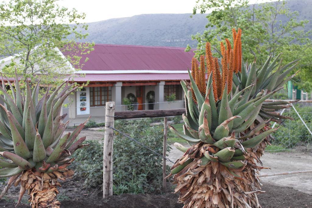 Mountain View Country Guest House Cradock Exterior photo