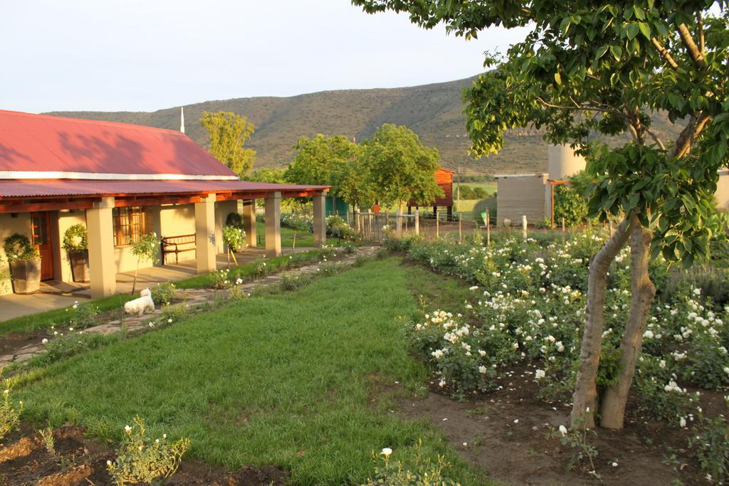 Mountain View Country Guest House Cradock Exterior photo