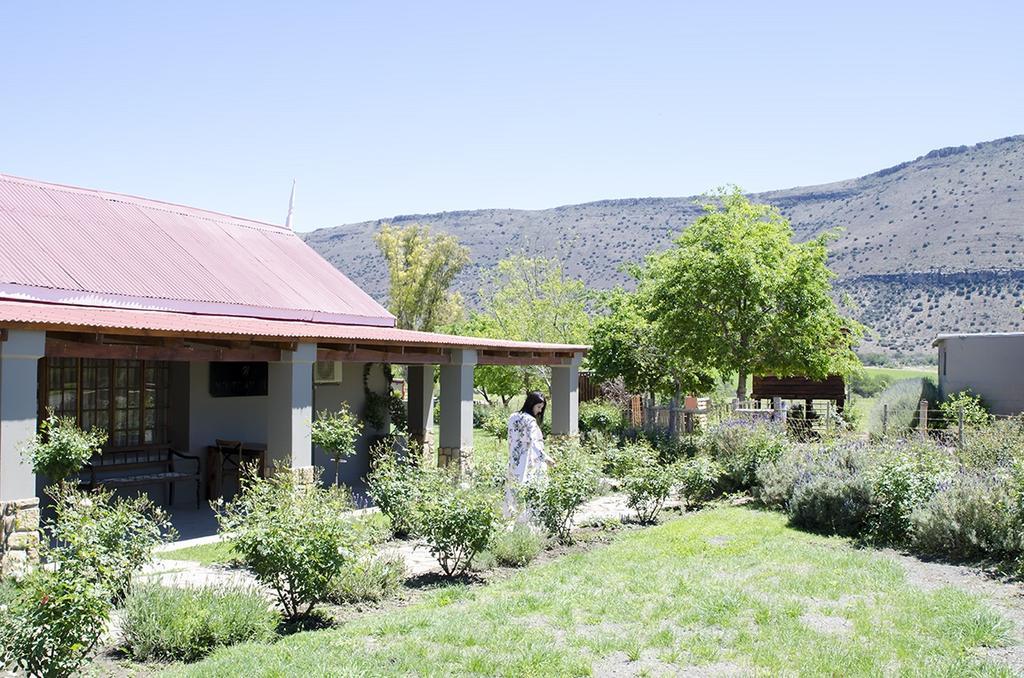 Mountain View Country Guest House Cradock Exterior photo