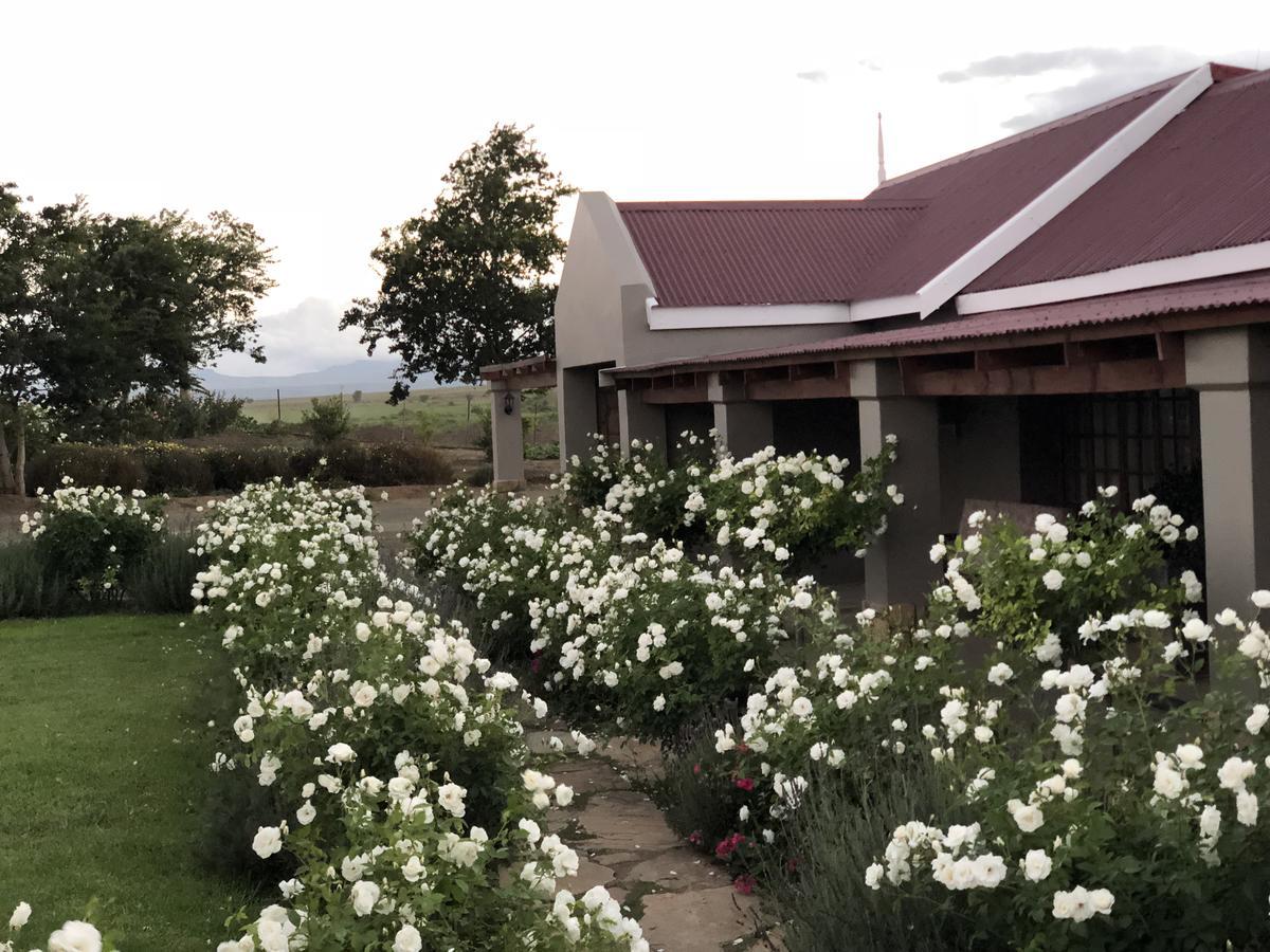 Mountain View Country Guest House Cradock Exterior photo