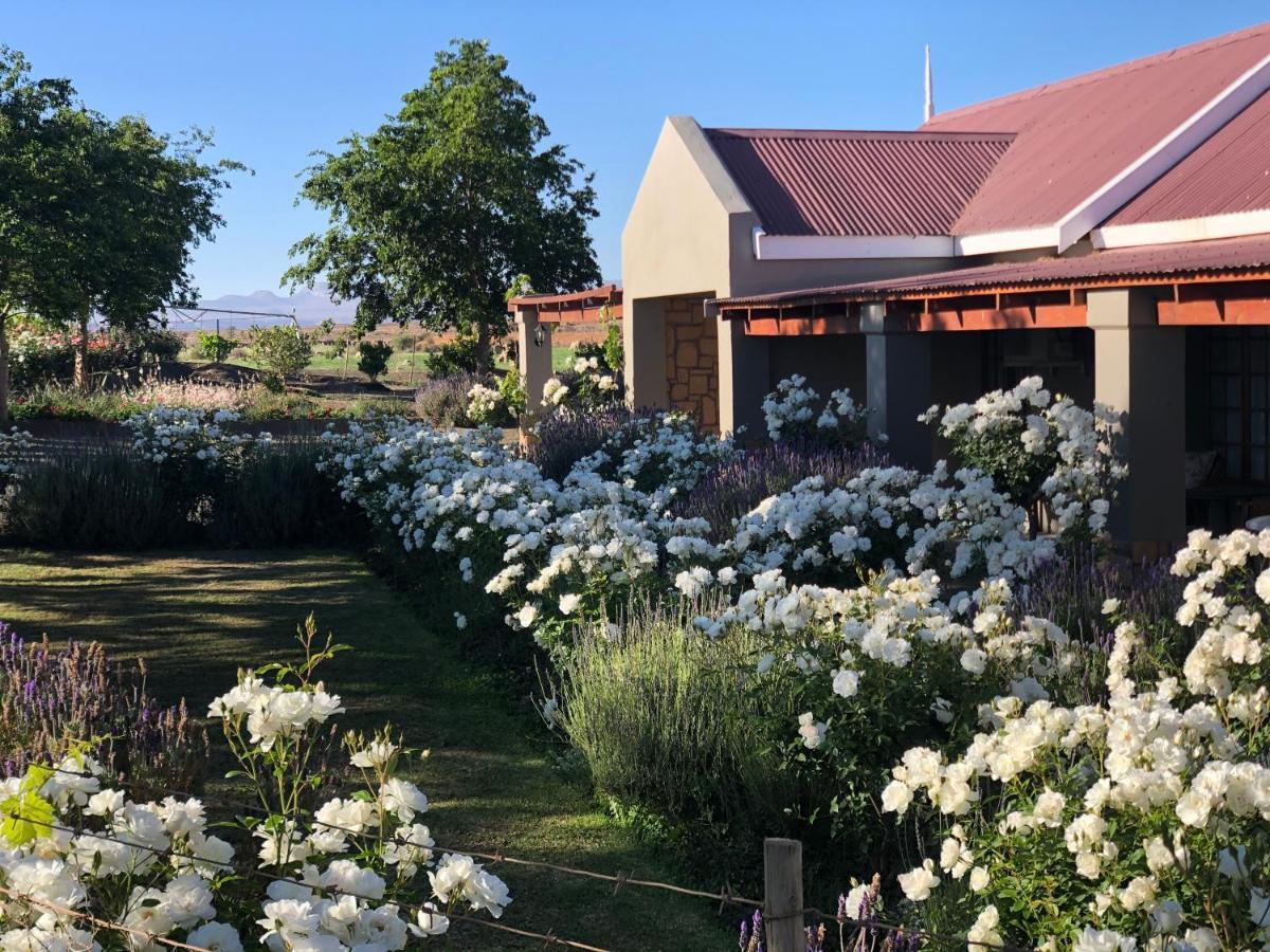 Mountain View Country Guest House Cradock Exterior photo